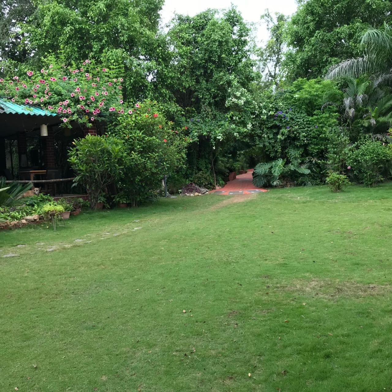 Baaz Jungle Resort Khawāsa Exterior foto