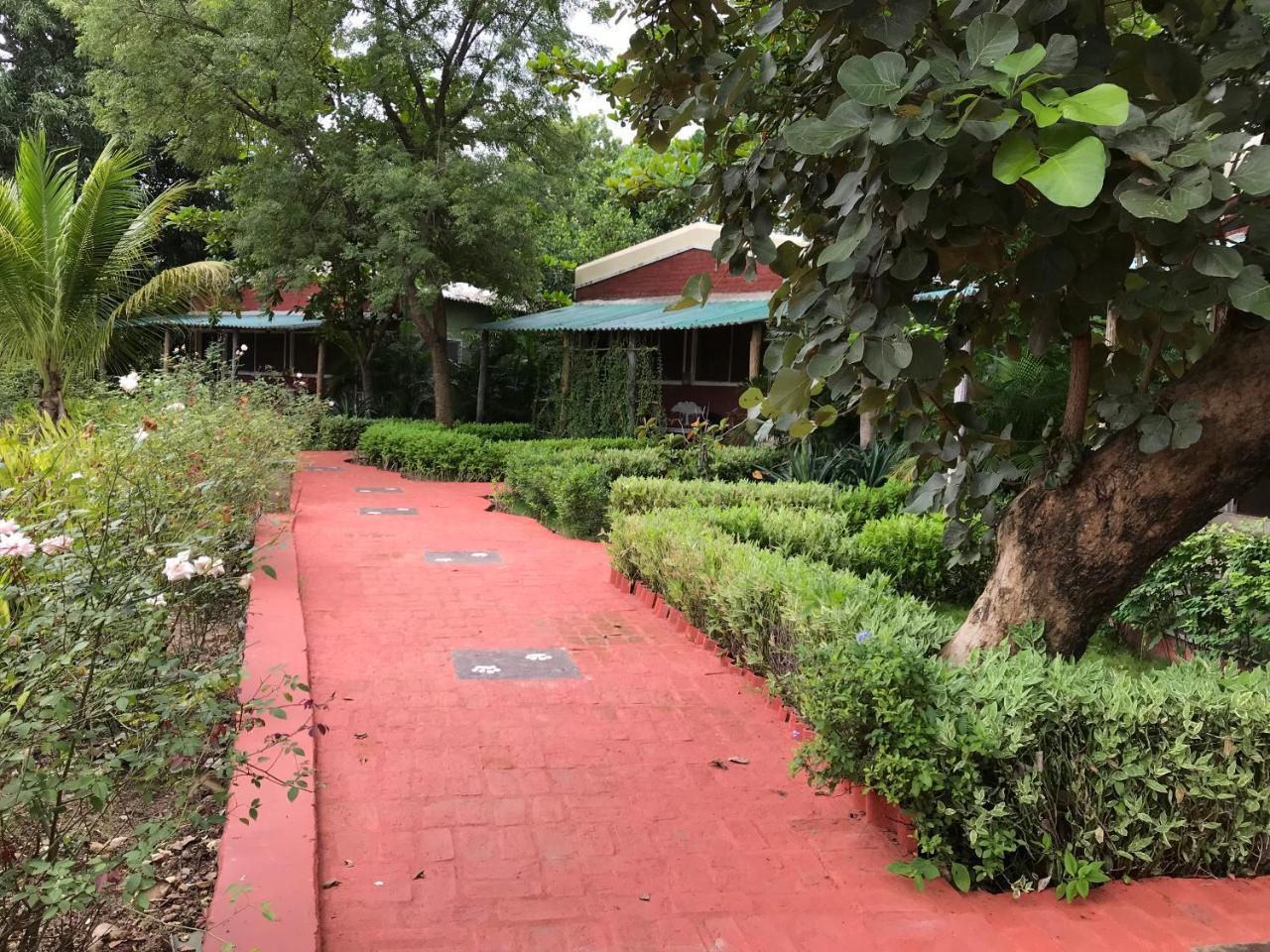 Baaz Jungle Resort Khawāsa Exterior foto