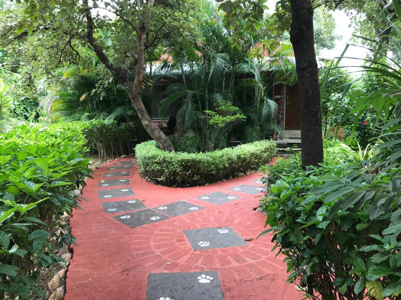 Baaz Jungle Resort Khawāsa Exterior foto