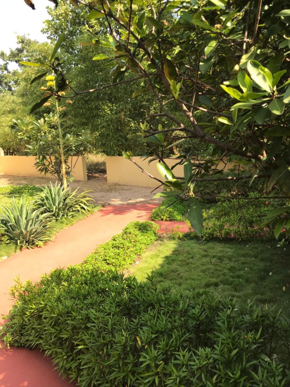 Baaz Jungle Resort Khawāsa Exterior foto